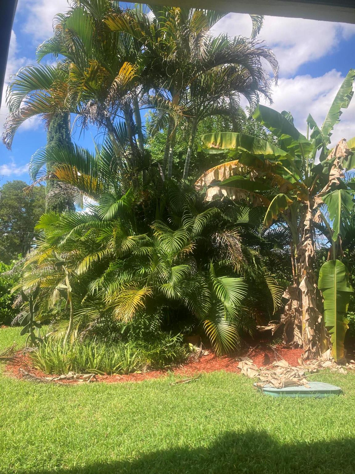 COLONIAL CLUB CONDO SEC 2 - Residential