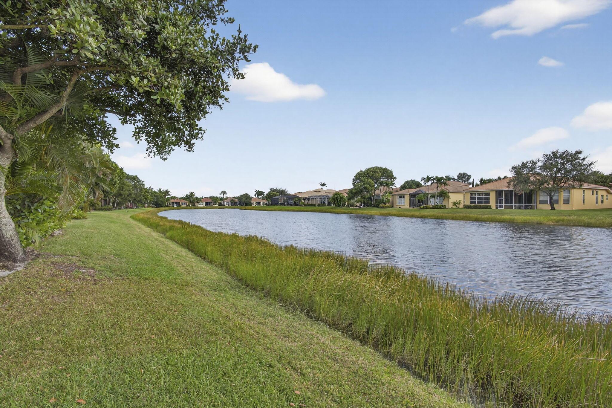 BUENA VIDA - Residential