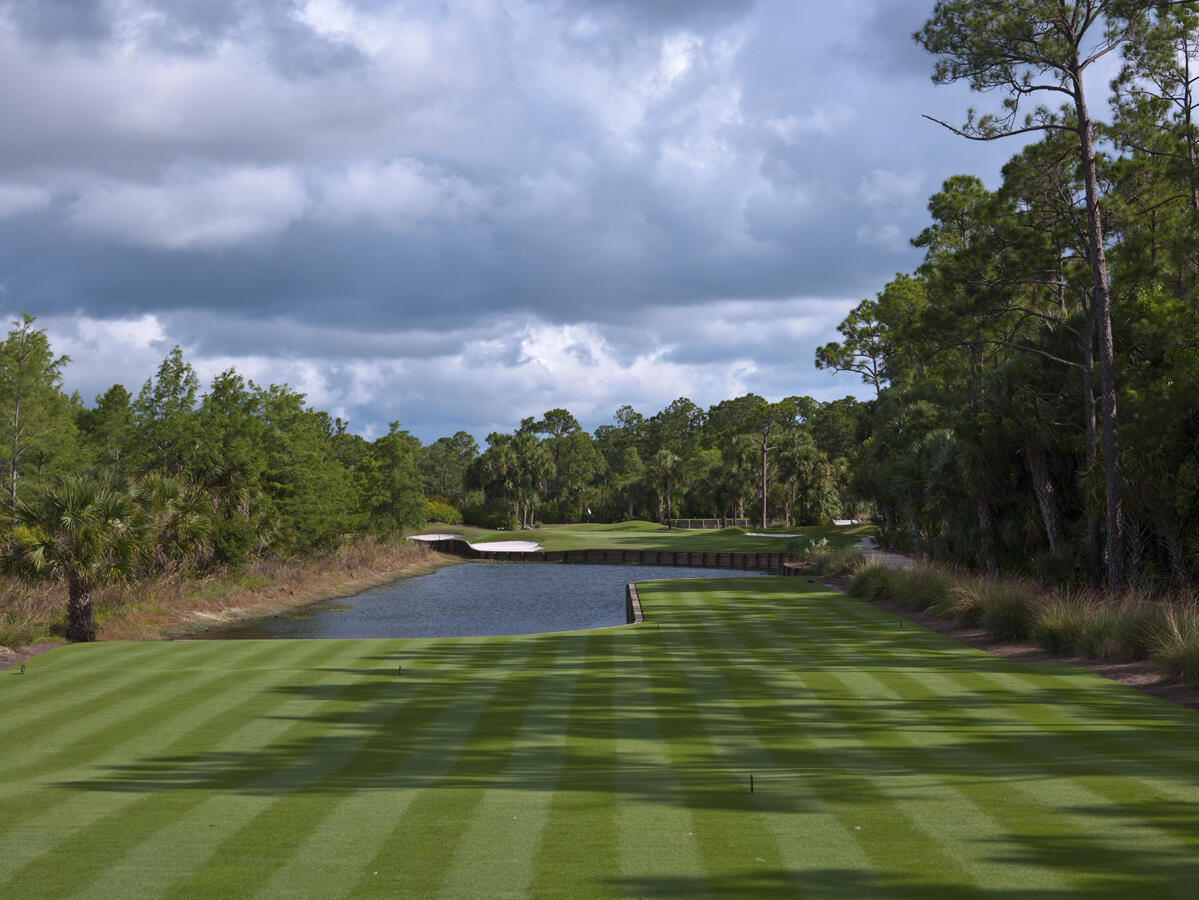 OLD MARSH GOLF CLUB - Residential