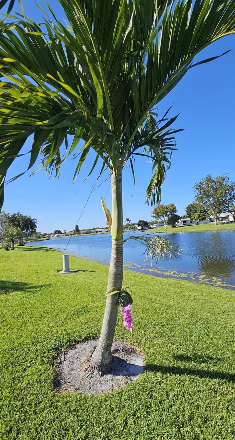 CYPRESS LAKES 2 - Residential