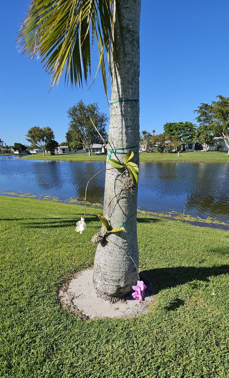 CYPRESS LAKES 2 - Residential