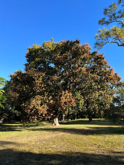 Tiny photo for 4170 MANOR FOREST Boulevard, Boynton Beach, FL 33436 (MLS # B26089745)