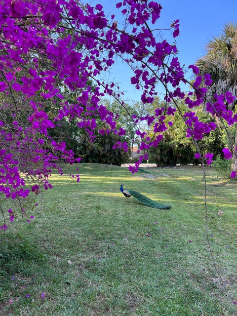 Tiny photo for 4170 MANOR FOREST Boulevard, Boynton Beach, FL 33436 (MLS # B26089745)