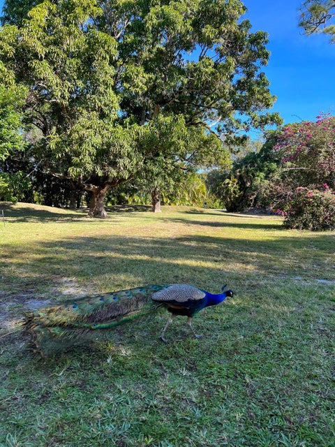 Tiny photo for 4170 MANOR FOREST Boulevard, Boynton Beach, FL 33436 (MLS # B26089745)