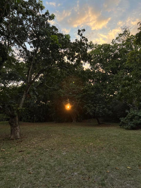 Tiny photo for 4170 MANOR FOREST Boulevard, Boynton Beach, FL 33436 (MLS # B26089745)