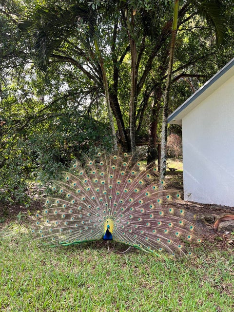 Tiny photo for 4170 MANOR FOREST Boulevard, Boynton Beach, FL 33436 (MLS # B26089745)