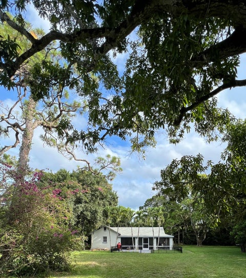 Tiny photo for 4170 MANOR FOREST Boulevard, Boynton Beach, FL 33436 (MLS # B26089745)