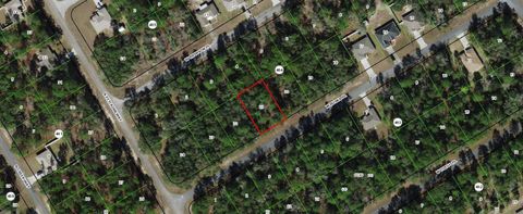 245 W Ruska Place Citrus Springs FL 34434