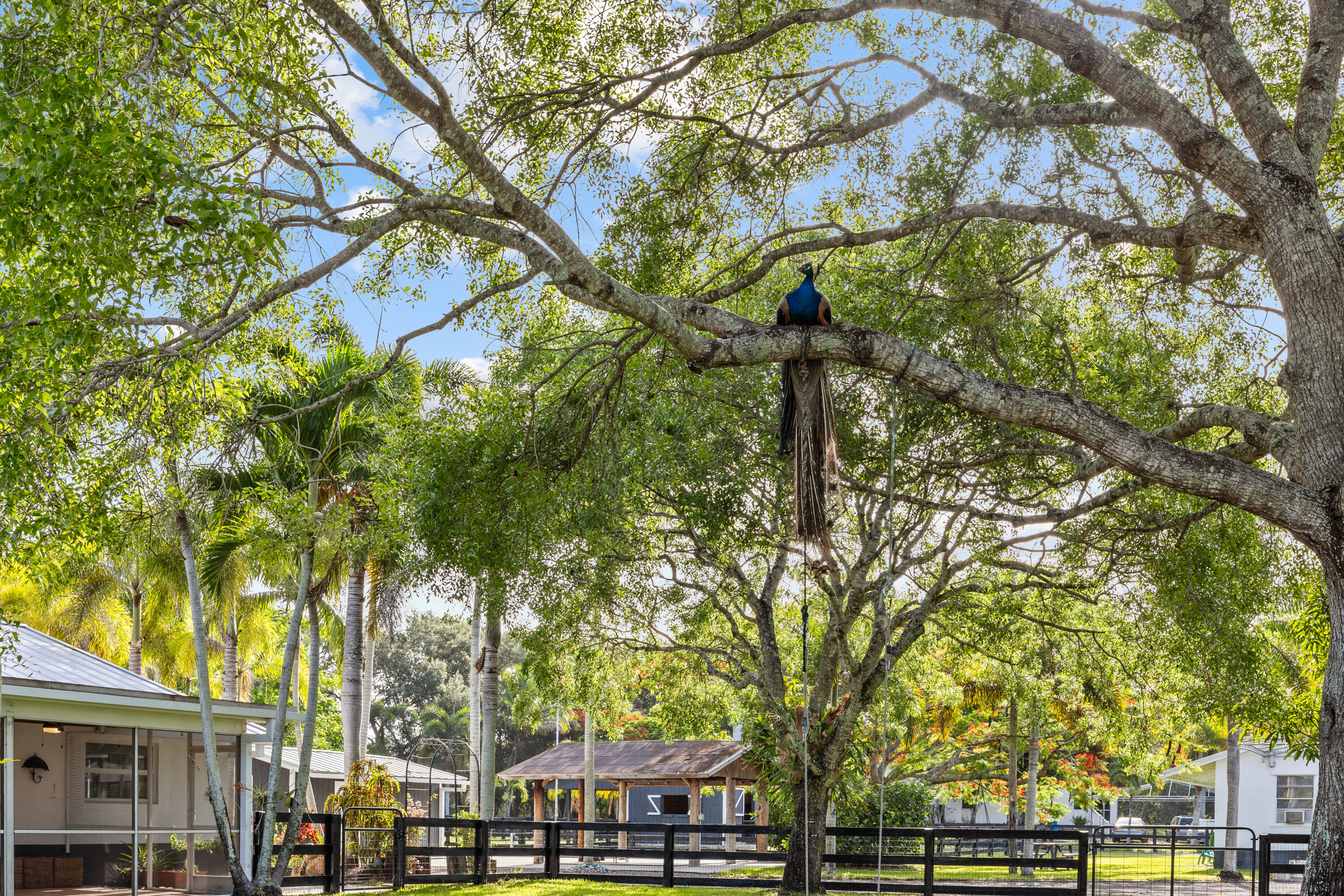 SEMINOLE RANCHES - Residential