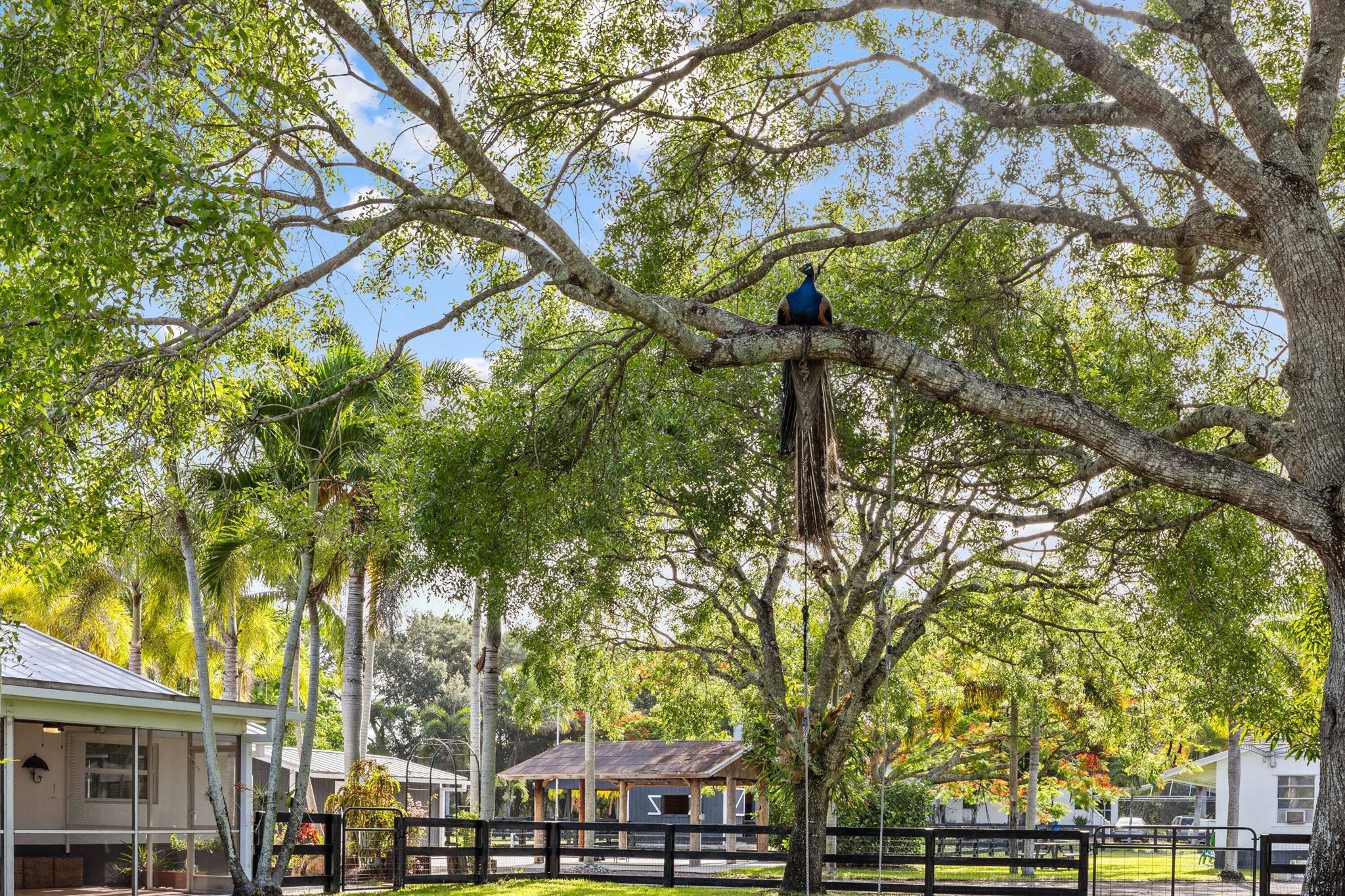 SEMINOLE RANCHES - Residential