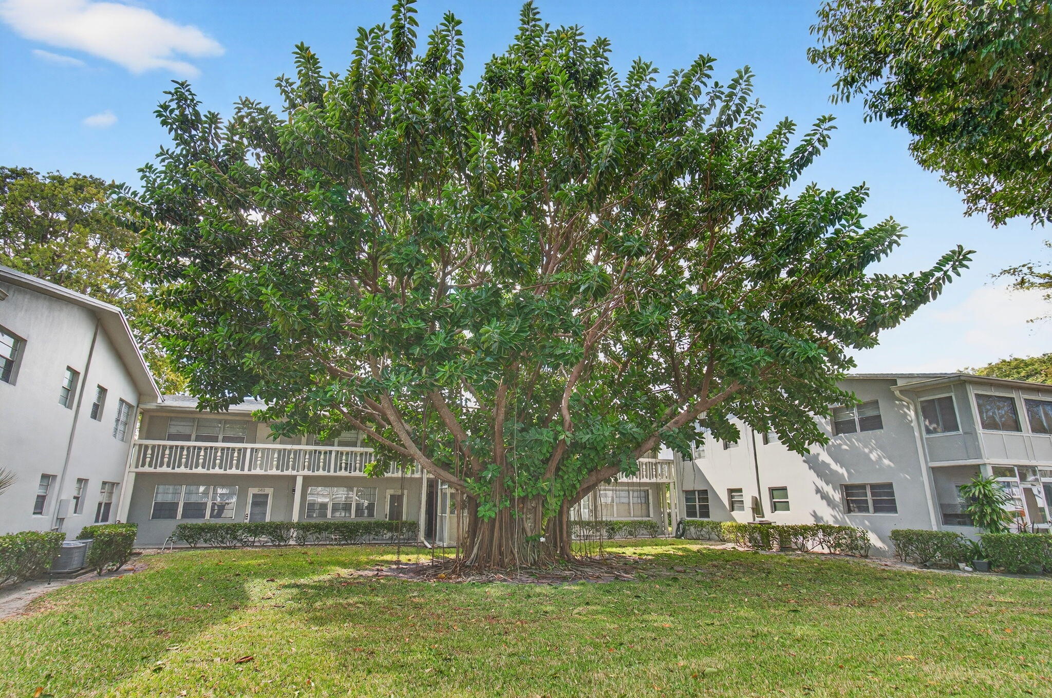 VENTNOR R CONDO - Residential