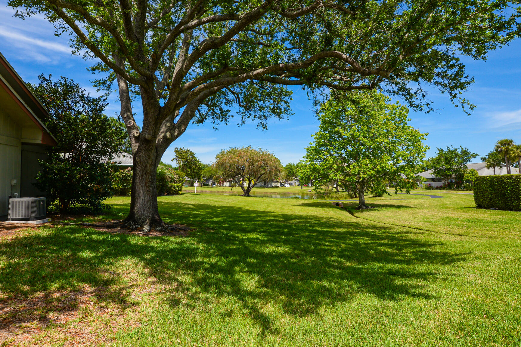 CINNAMON TREE - Residential