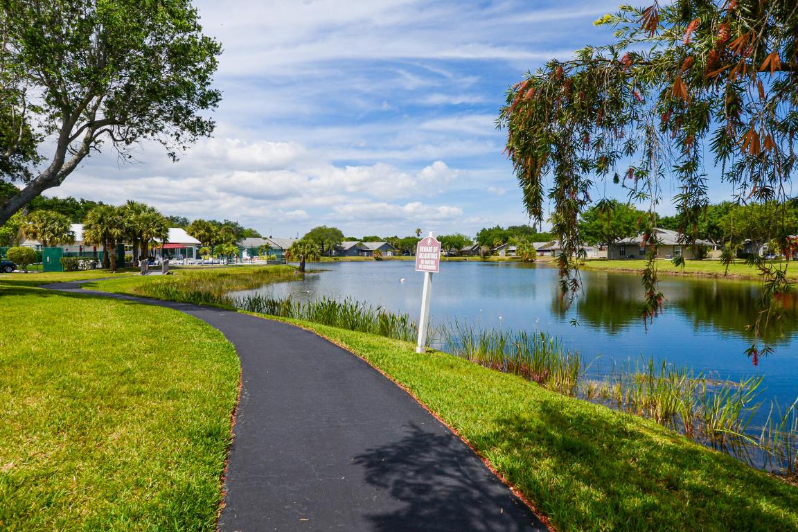 CINNAMON TREE - Residential