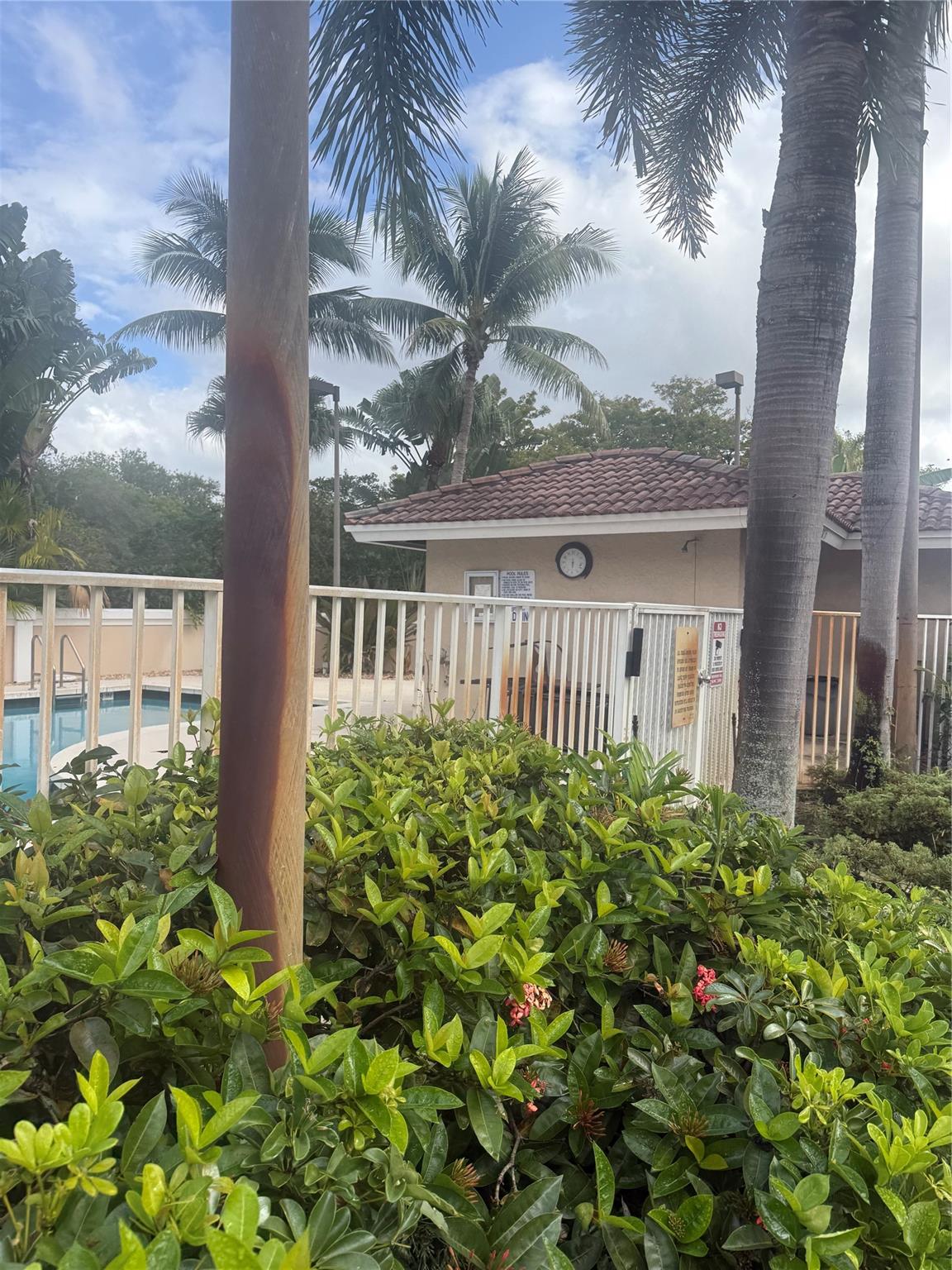 Oak Wood 80-39 B - Residential