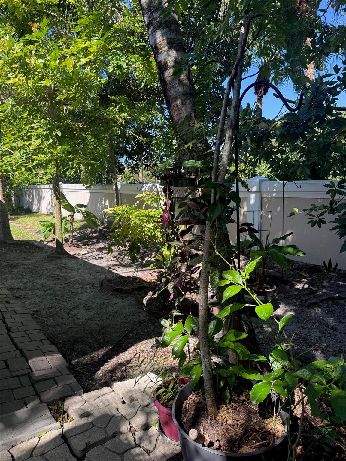 Oak Wood 80-39 B - Residential