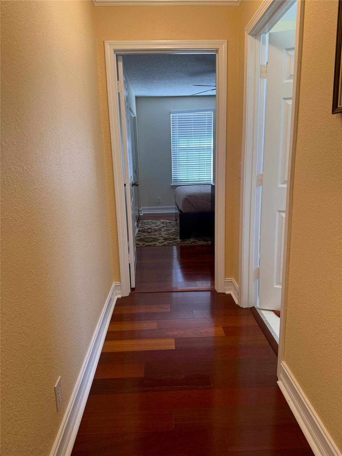 Oak Wood 80-39 B - Residential