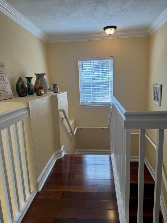 Oak Wood 80-39 B - Residential