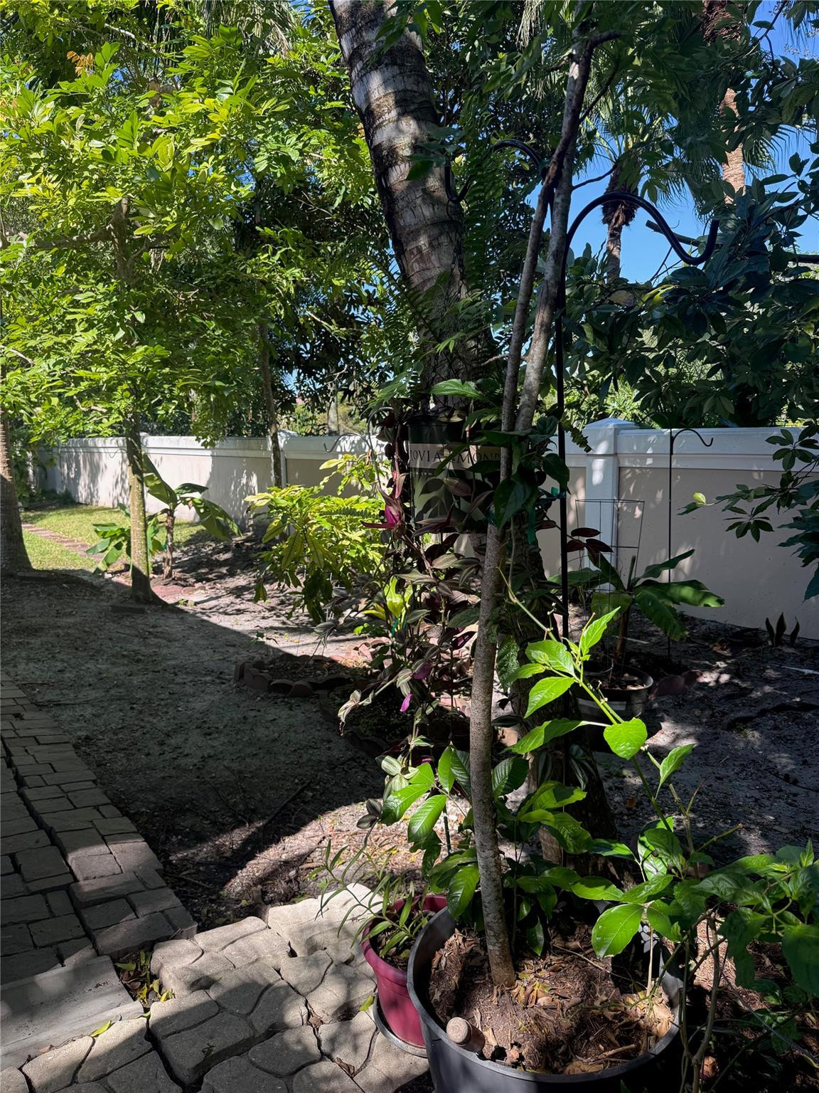 Oak Wood 80-39 B - Residential