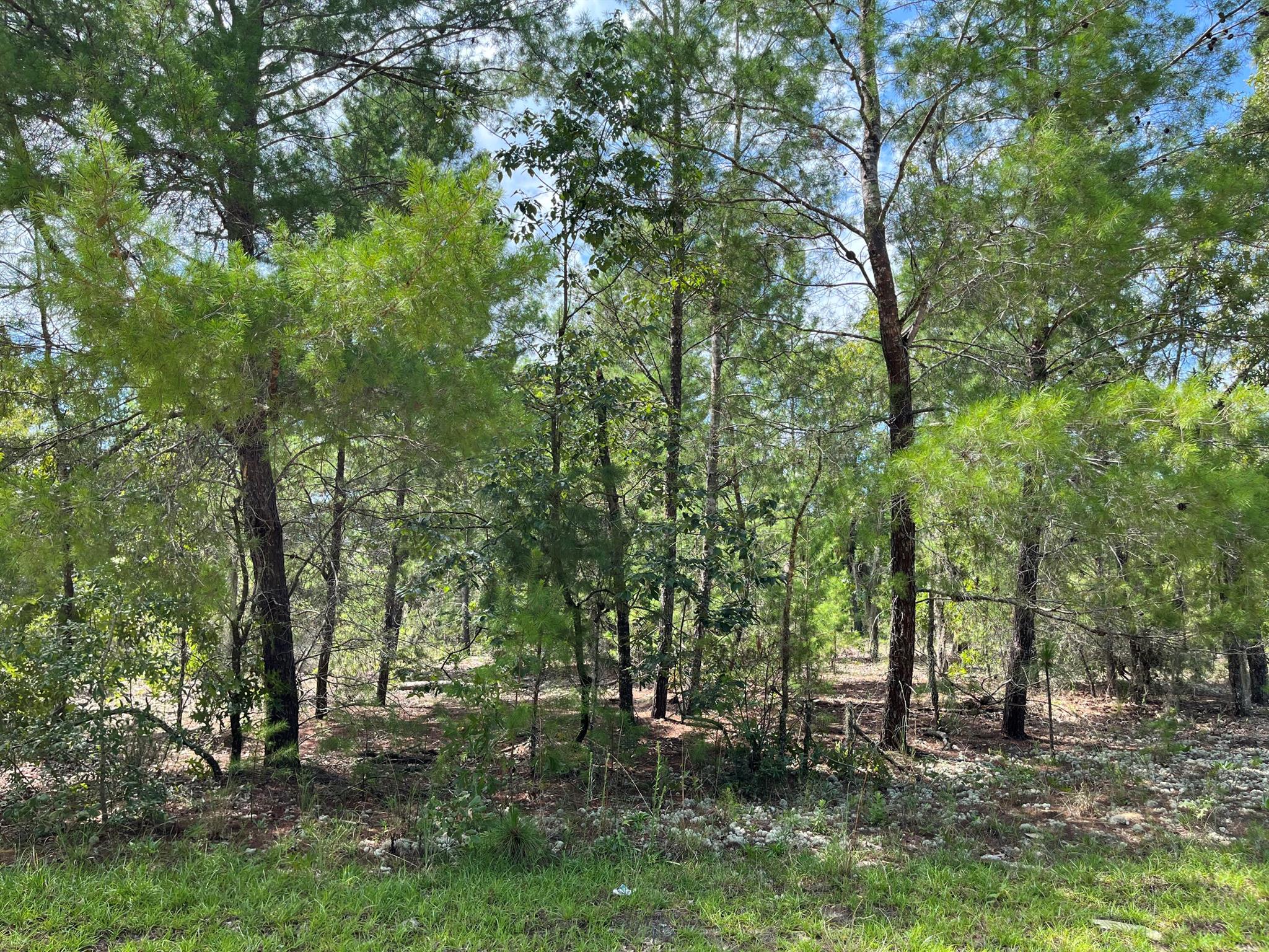 Owner financing is available! Build or bring your mobile home to this stunning lot in the growing city of Interlachen. With power lines already in place, accessing electricity is a breeze. Located within minutes of schools, restaurants, diners, and parks. An easy commute to Gainesville or Palatka and less than an hour from the beach. Investing in land in Florida is a wise choice for your future, whether you're looking to build your dream home, a vacation getaway, a rental property, or simply let the land appreciate as a valuable long-term asset to resell at a profit in the future.