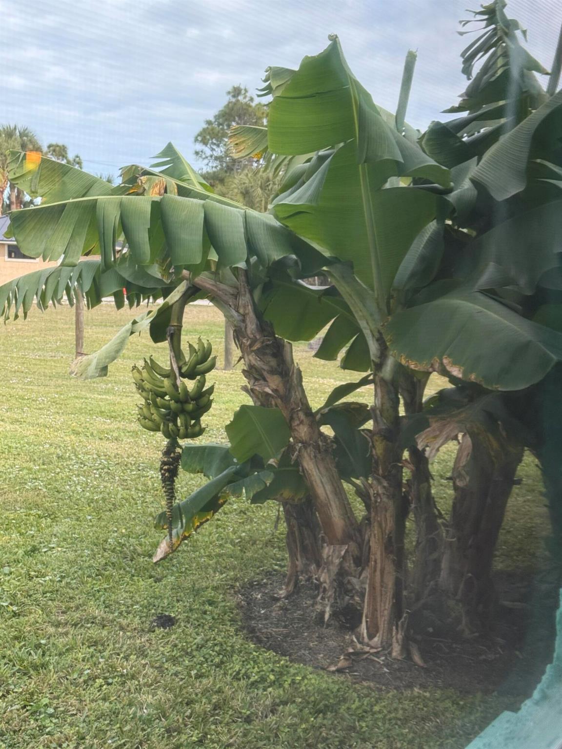 GREENRIDGE WEST - Residential Lease