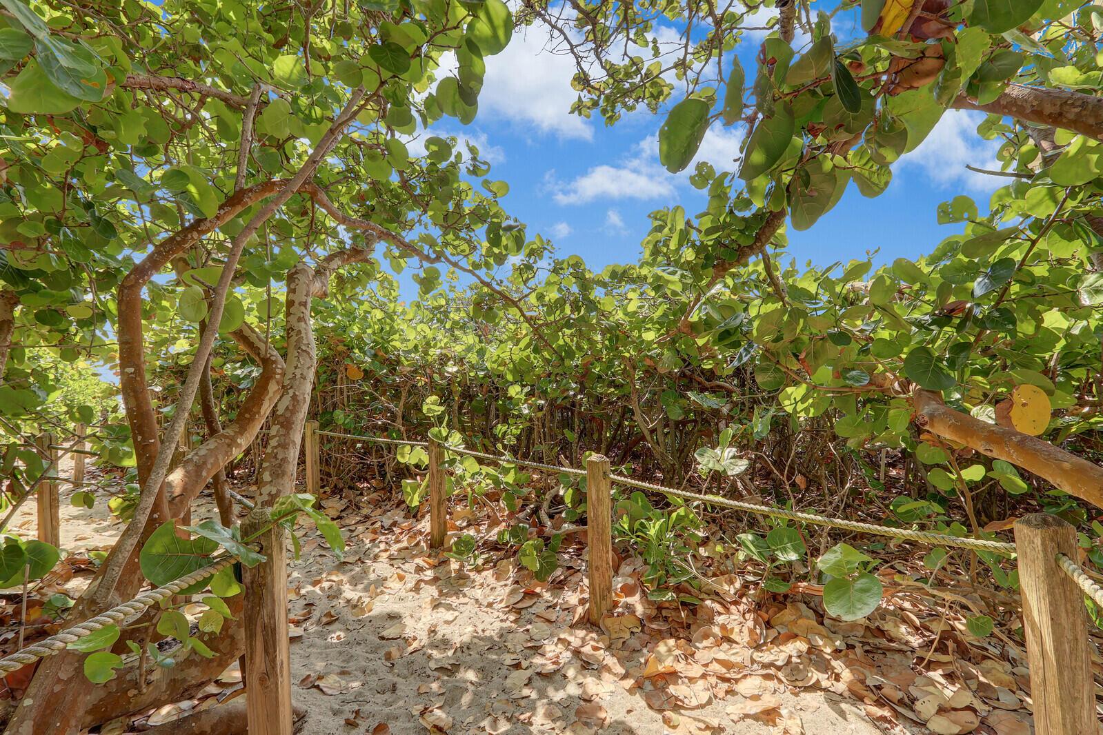 OCEAN BAY VILLAS, A CONDO - Residential