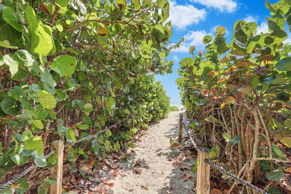 OCEAN BAY VILLAS, A CONDOMINIUM - Residential