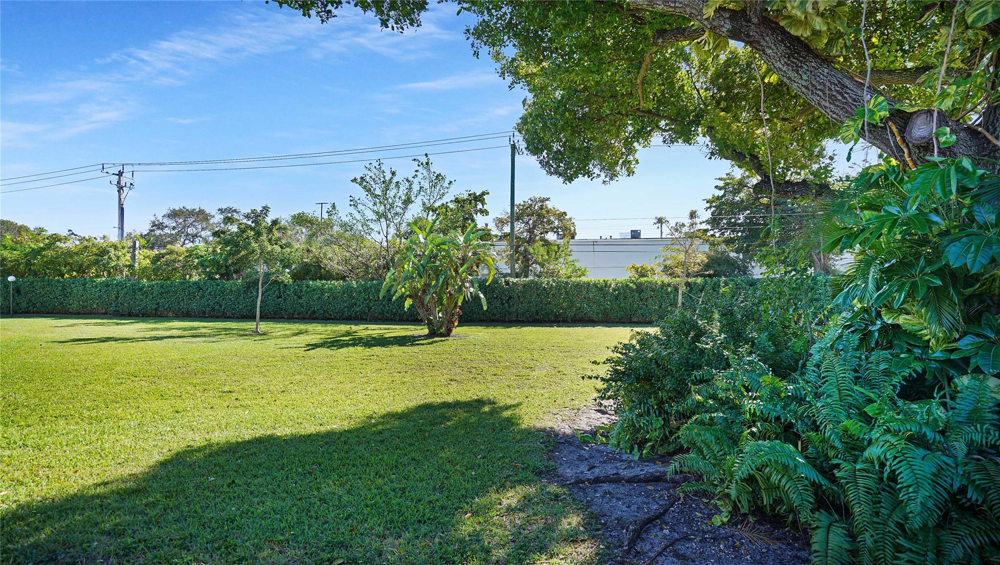 PINES OF OAKLAND FOREST - Residential