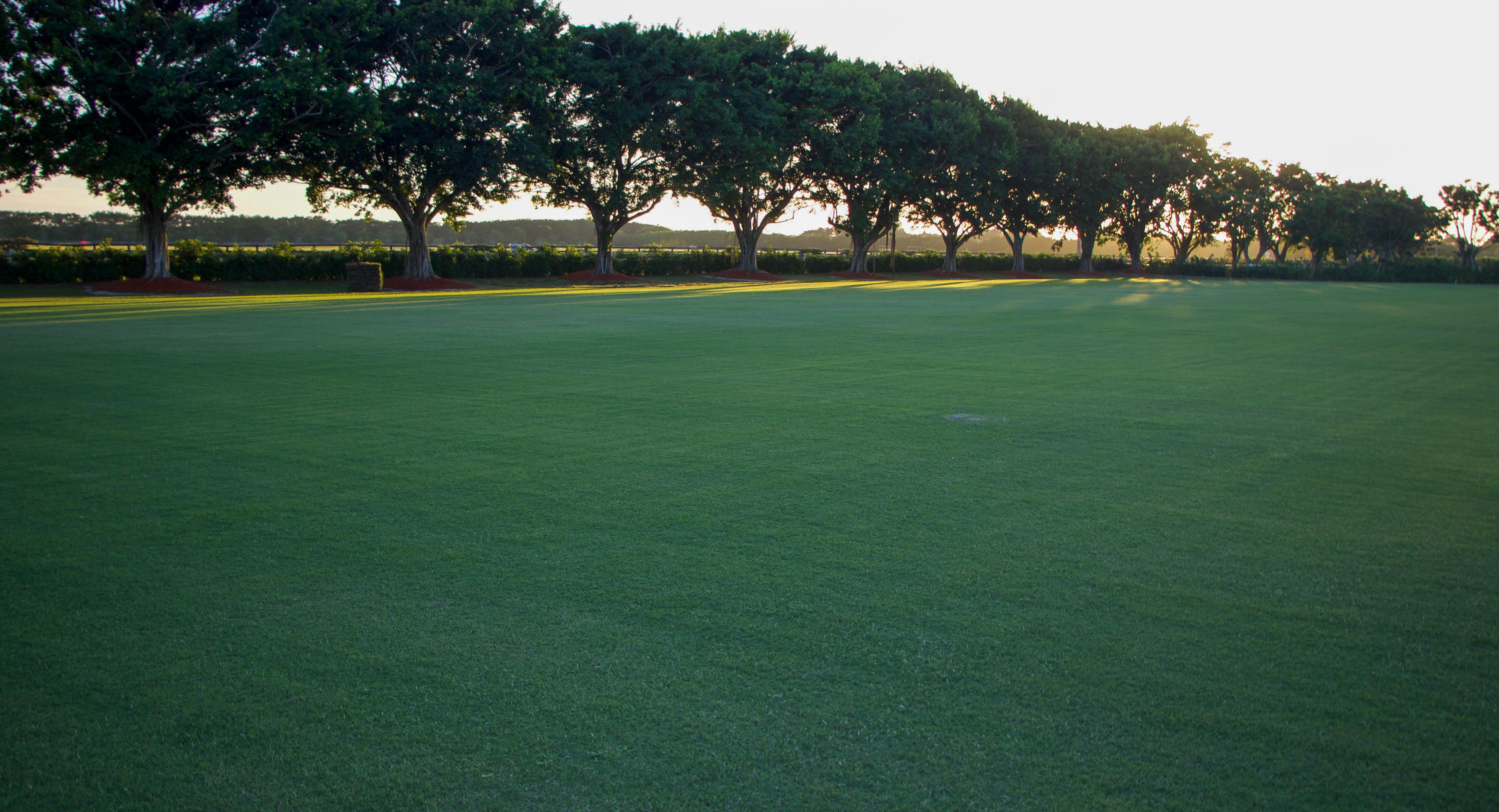 BLACK WATCH FARM 2 - Land