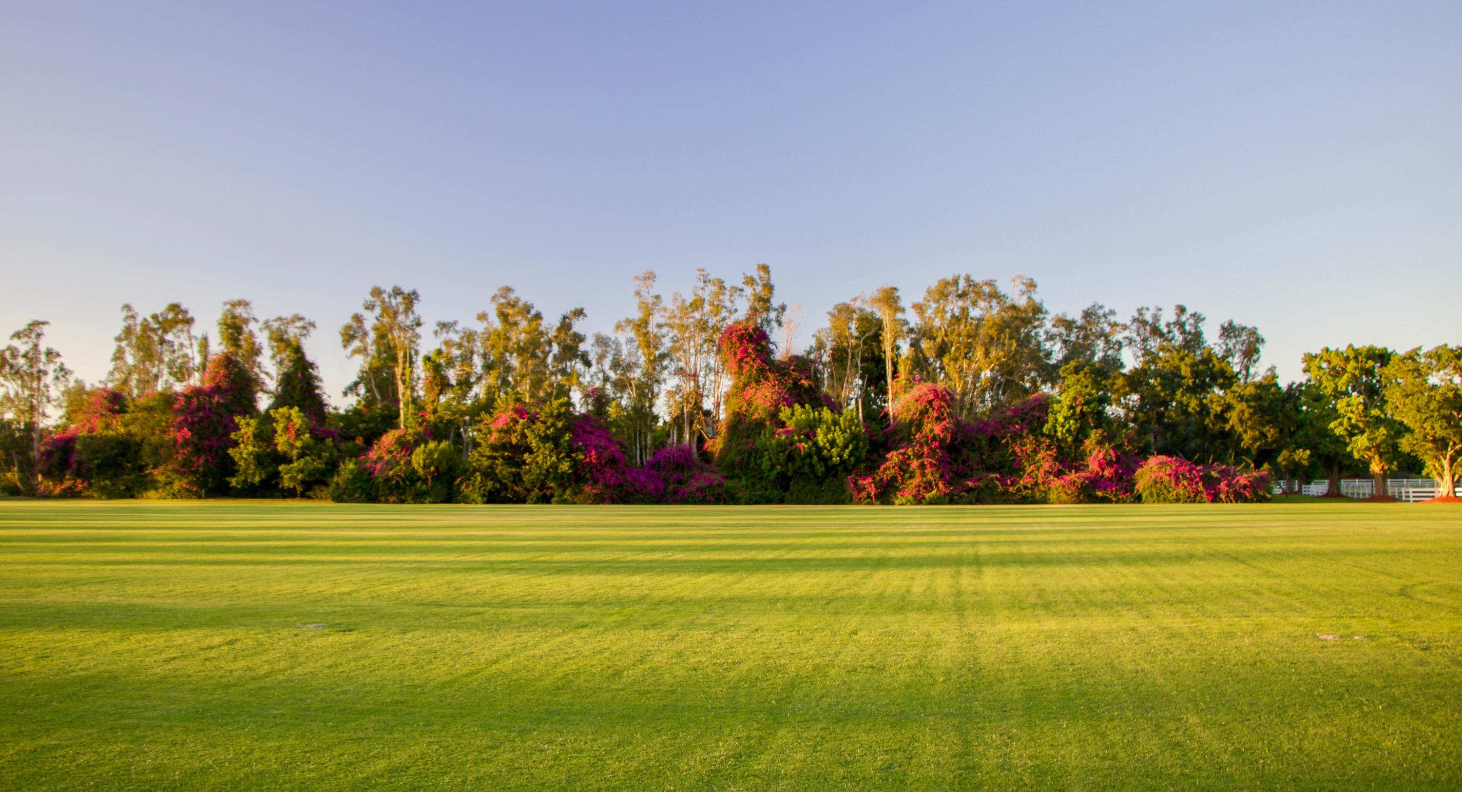 BLACK WATCH FARM 2 - Land