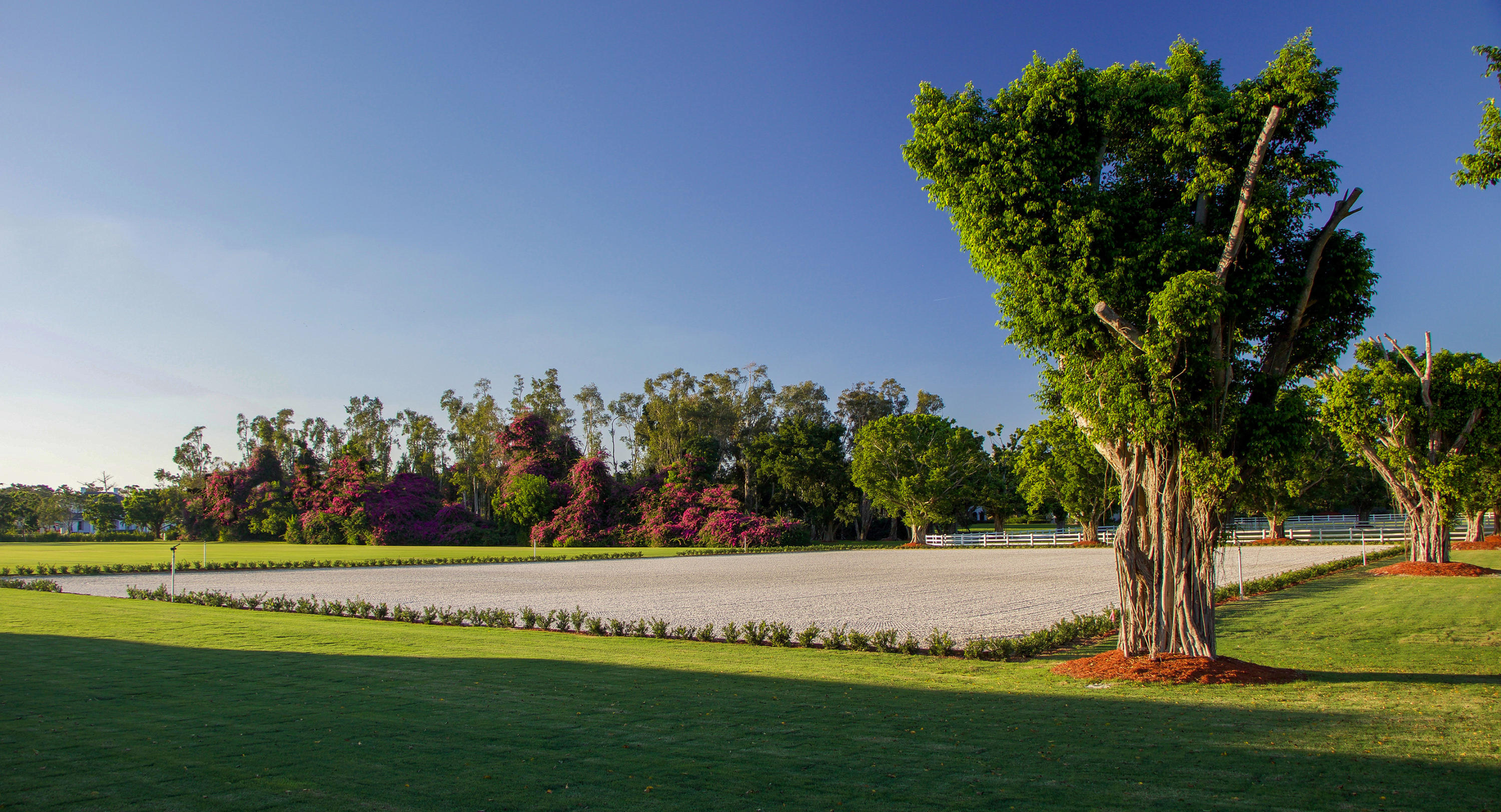 BLACK WATCH FARM 2 - Land