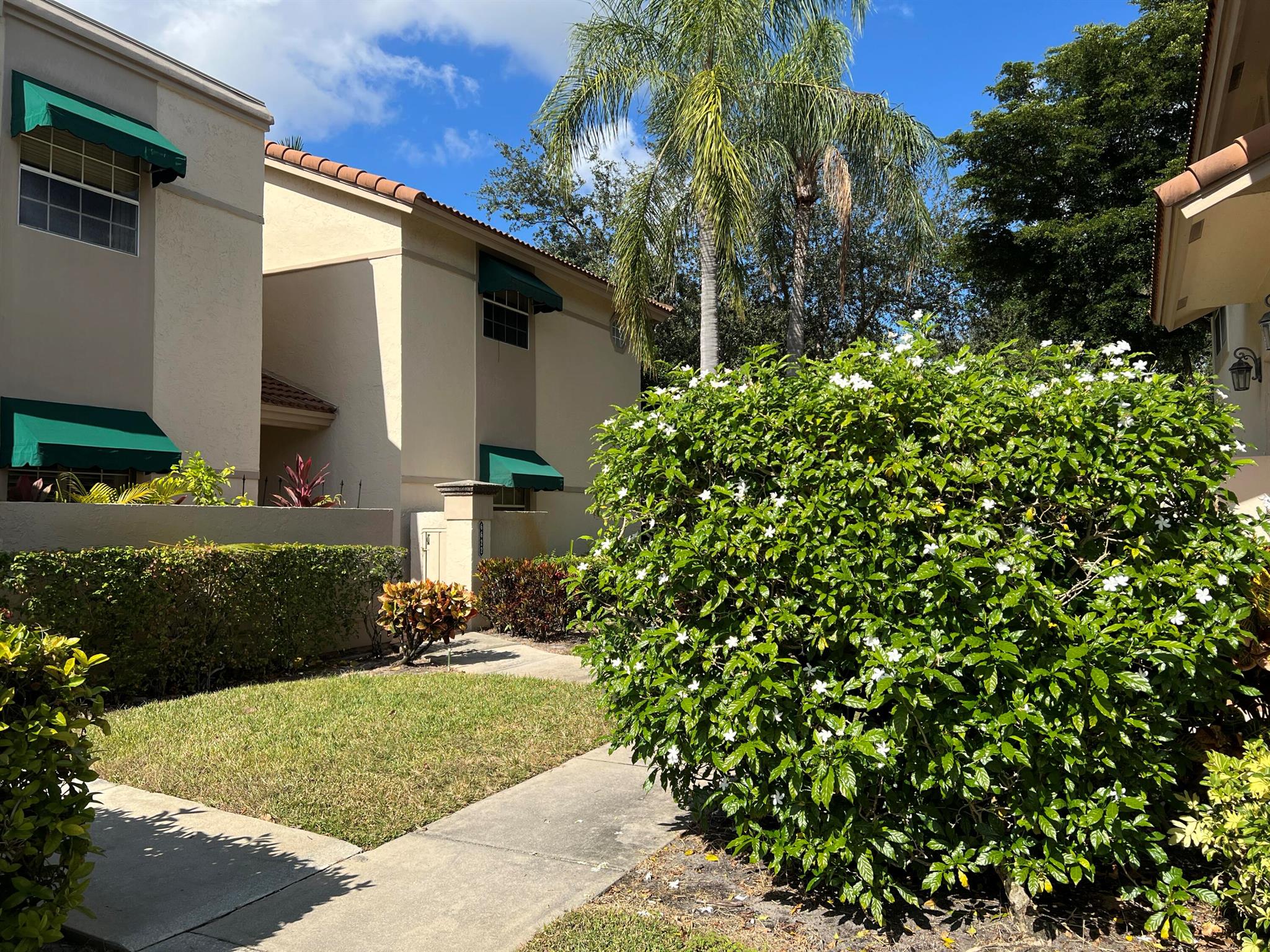 PLUM AT BOCA POINTE CONDO - Residential