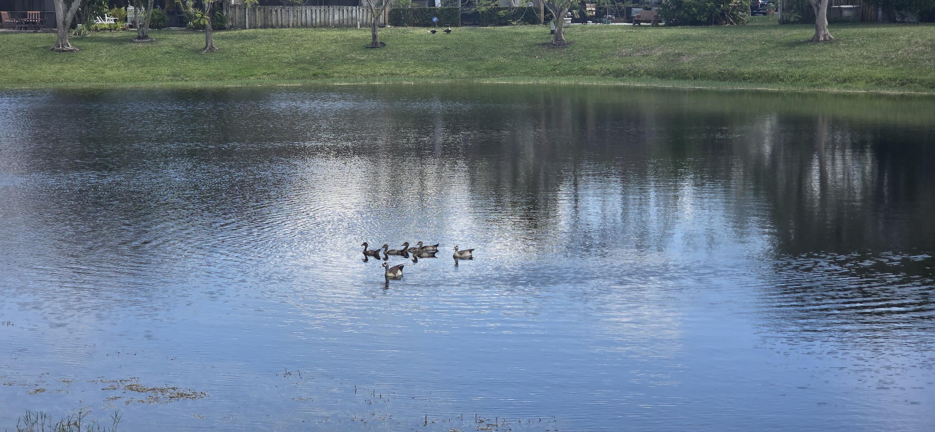 THE LAKES - Residential Lease