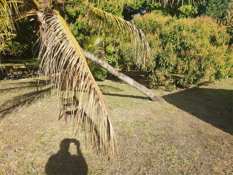 A home in Miami Gardens