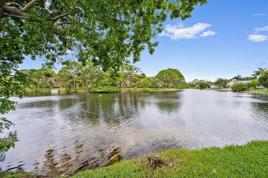 OLIVE TREE PAR 6C - Residential