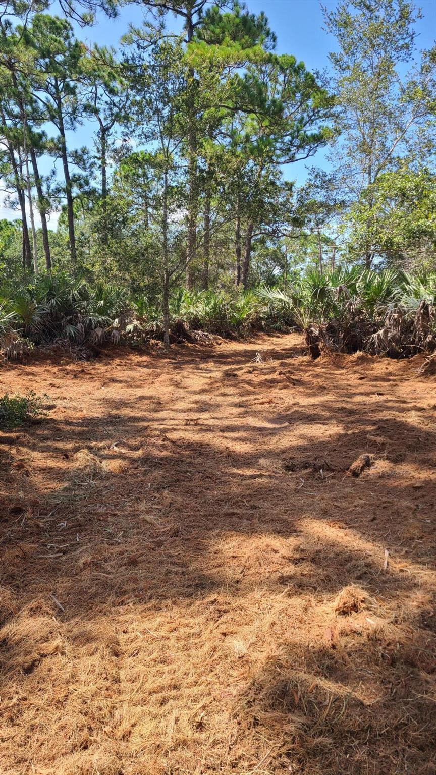 INDIAN RIVER FARMS COMPAN - Land