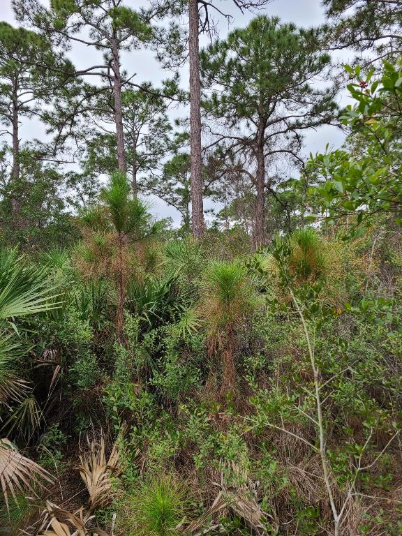 INDIAN RIVER FARMS COMPANY S/D - Land