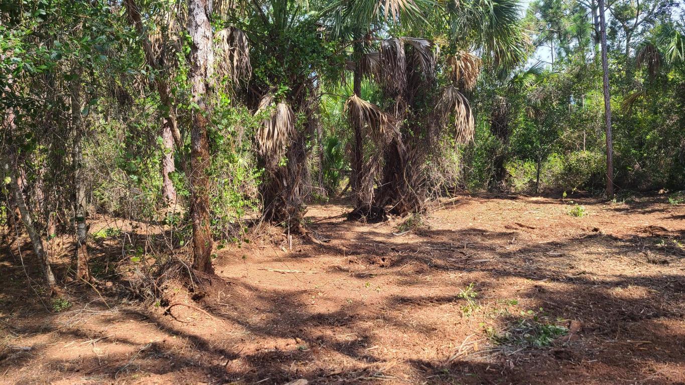 INDIAN RIVER FARMS COMPANY S/D - Land