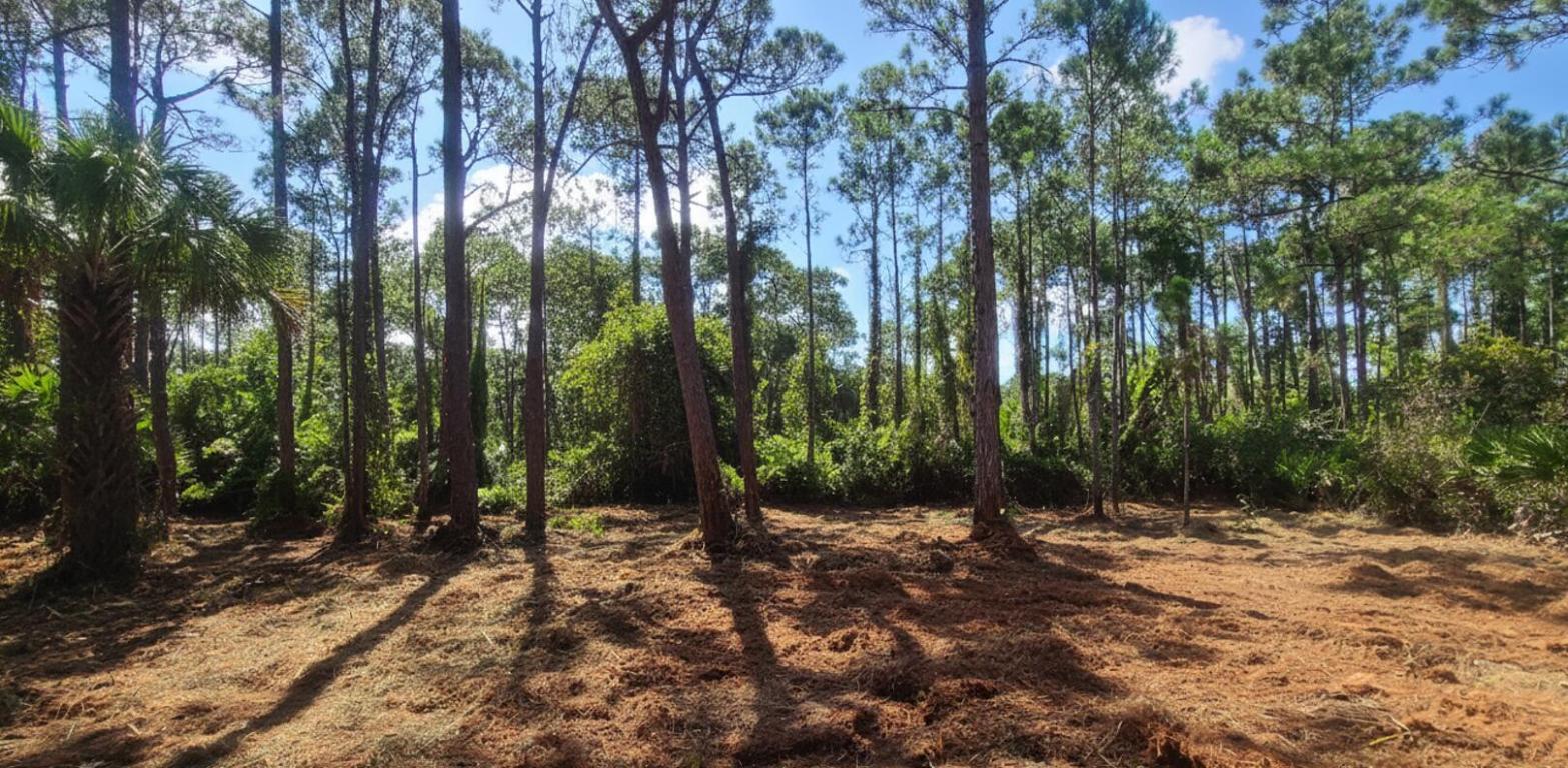 INDIAN RIVER FARMS COMPANY S/D - Land