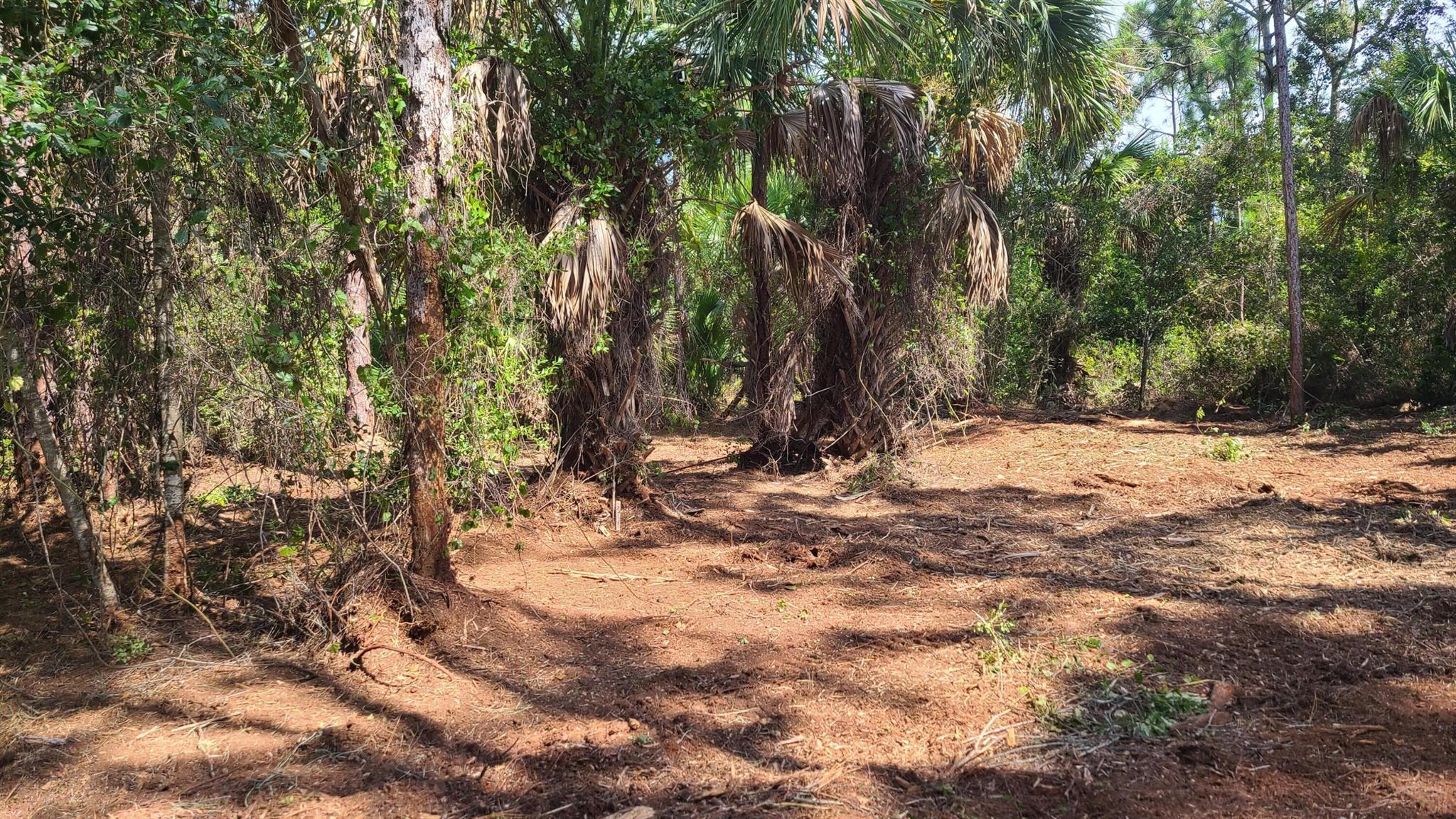 INDIAN RIVER FARMS COMPAN - Land