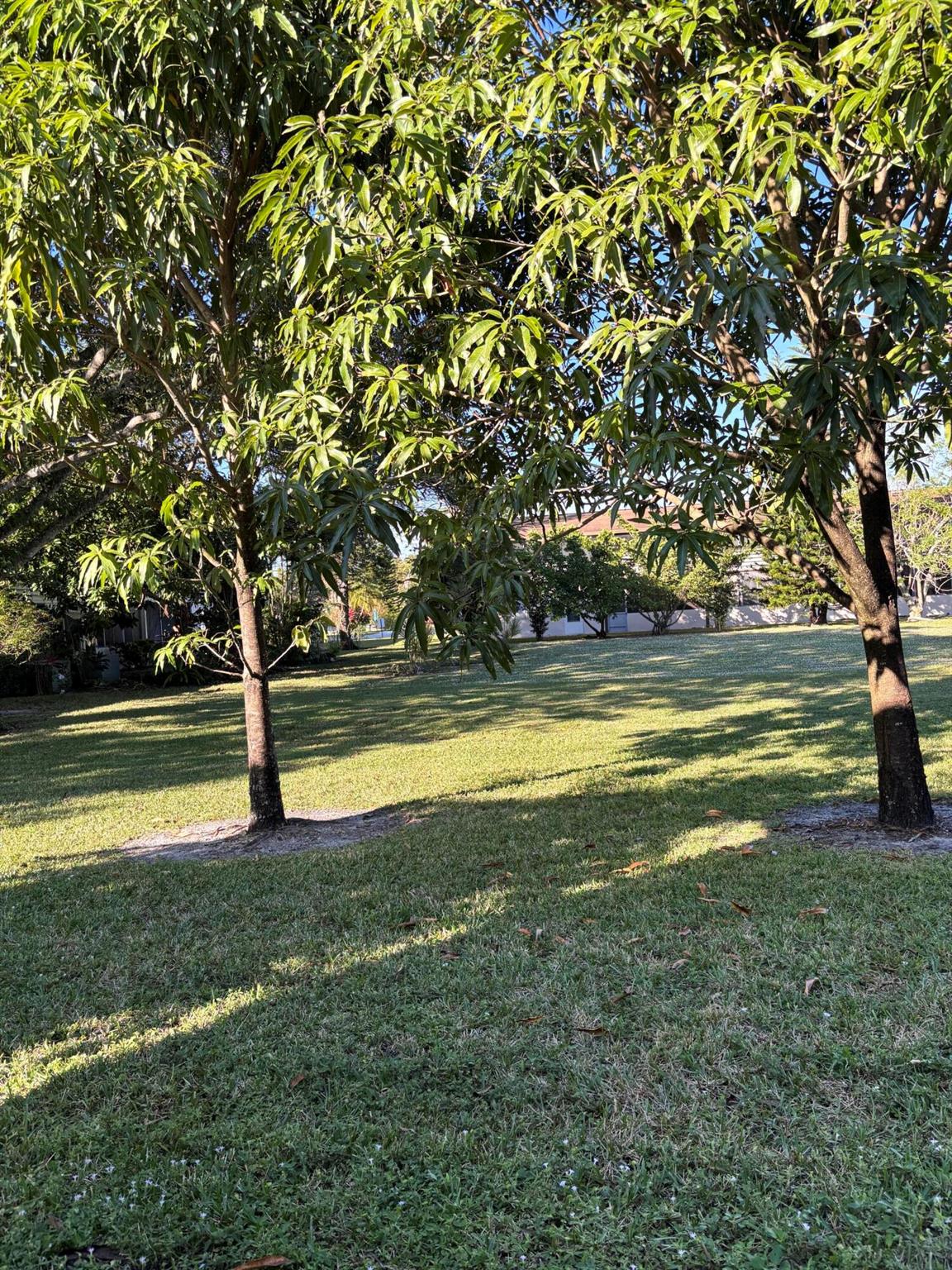 SUSSEX CONDO - Residential Lease