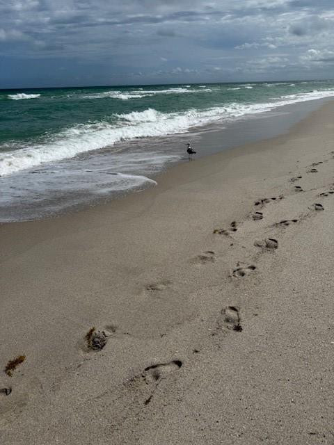 Parker Tower - Residential