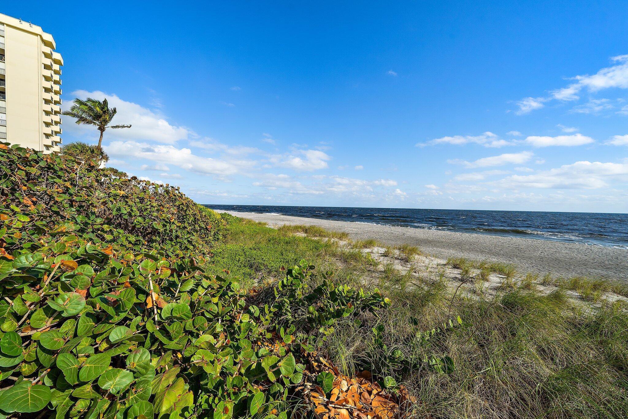 OCEAN TRAIL CONDO II - Residential Lease