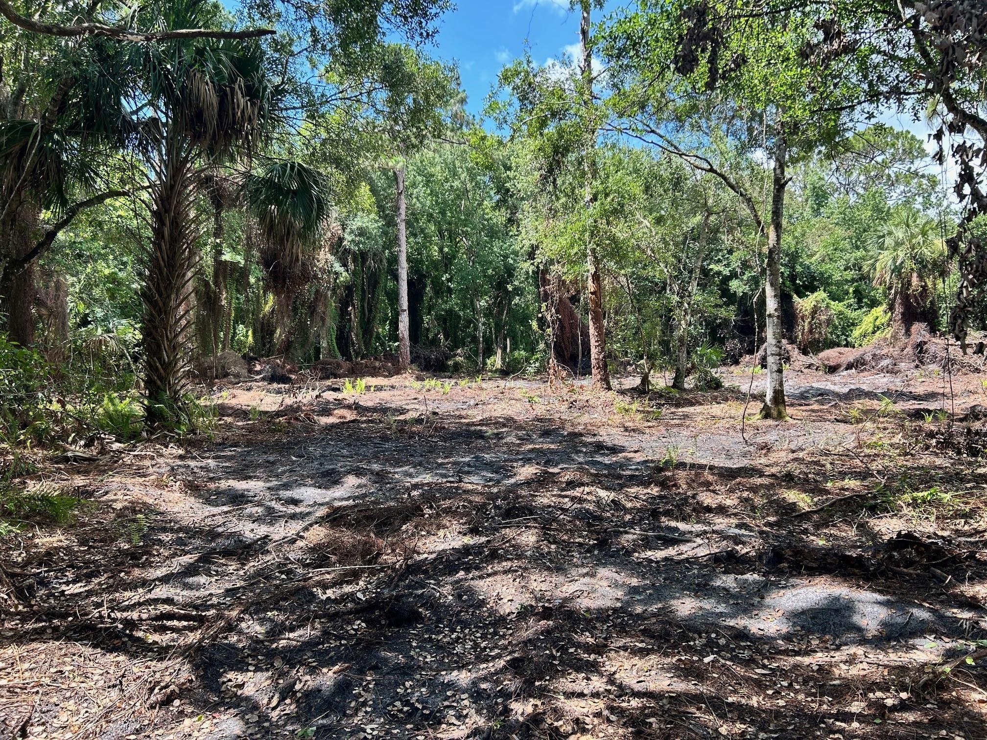 Northwood Sec 1 - Land