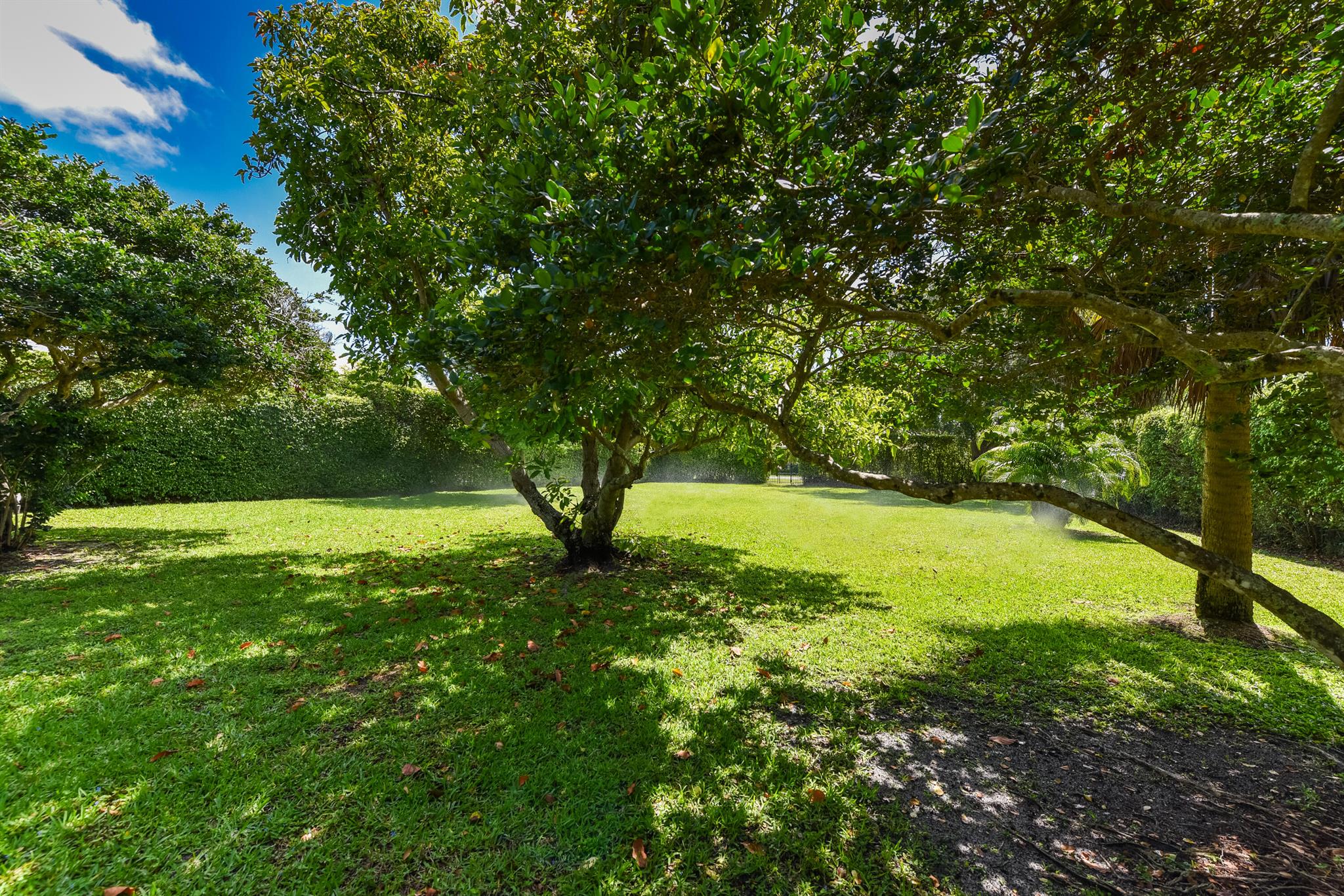 COCOA PINE ESTATES - Residential