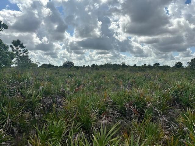 VK245 The Viking Estates - Land