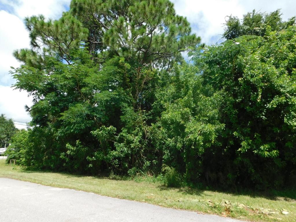 Photo of 4099 SW Hainlin Street, Port Saint Lucie, FL 34953 (MLS # R11017109)