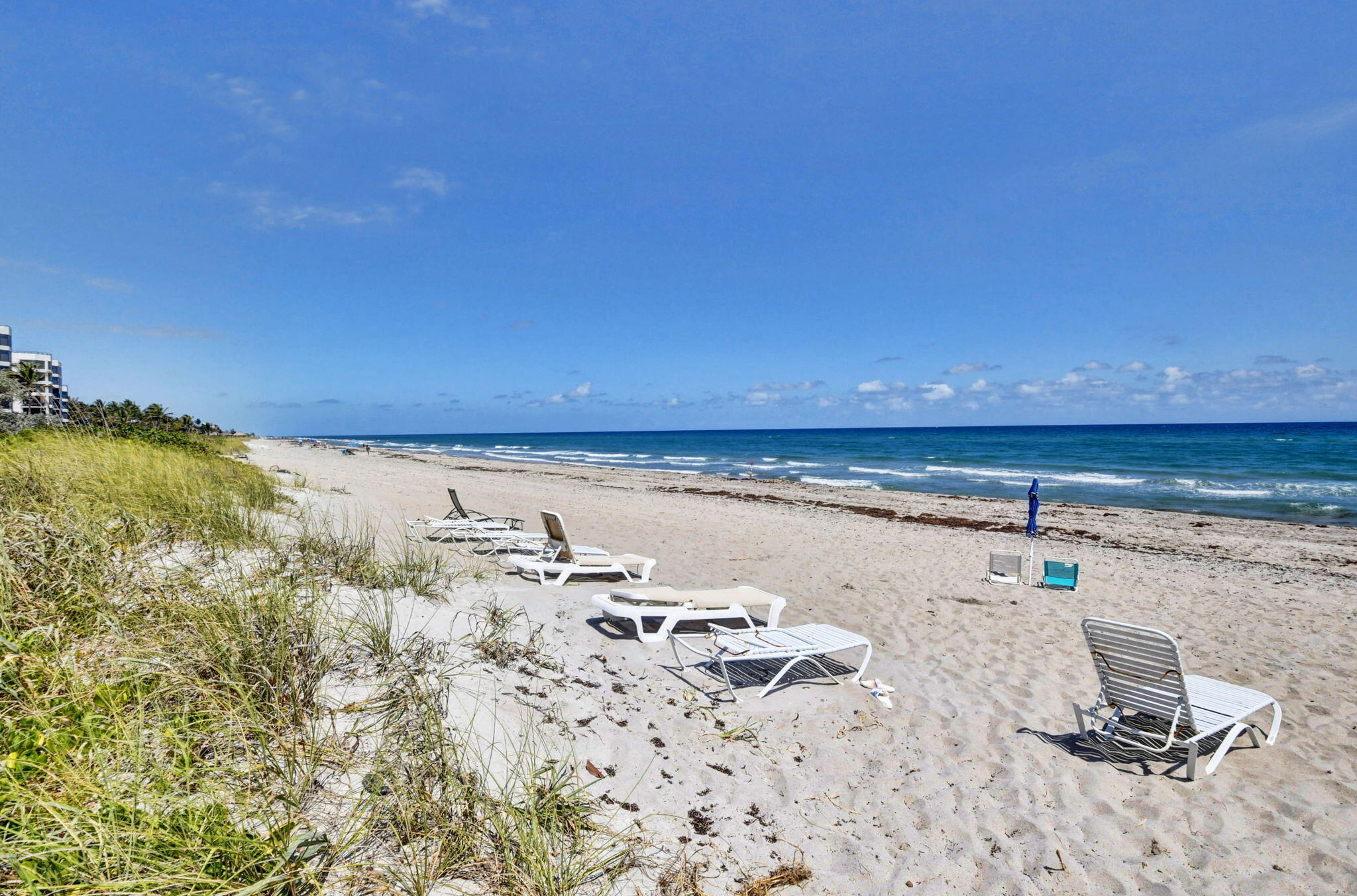 CARLTON HOUSE CONDO - Residential