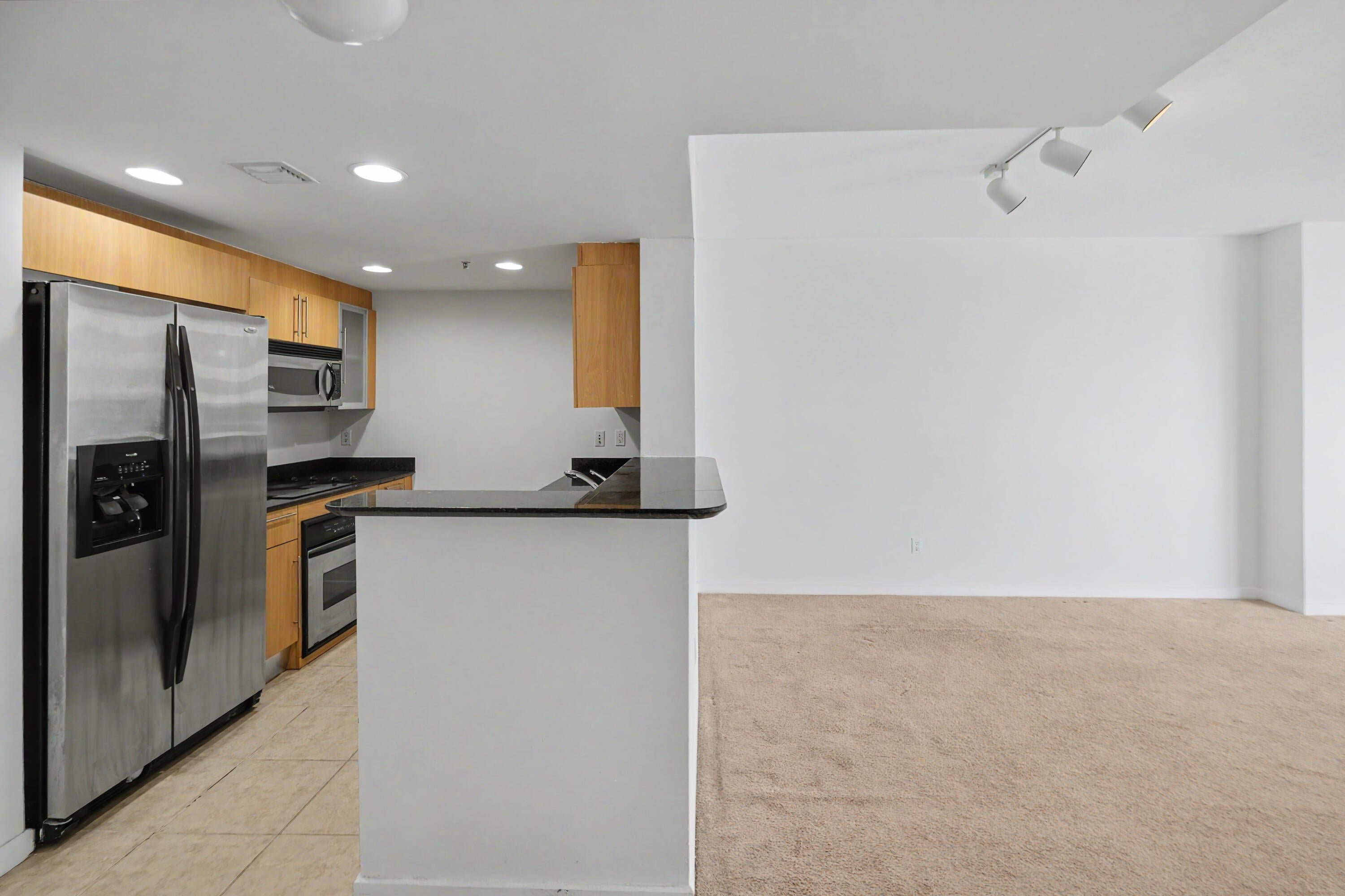335 S Biscayne Boulevard 1002