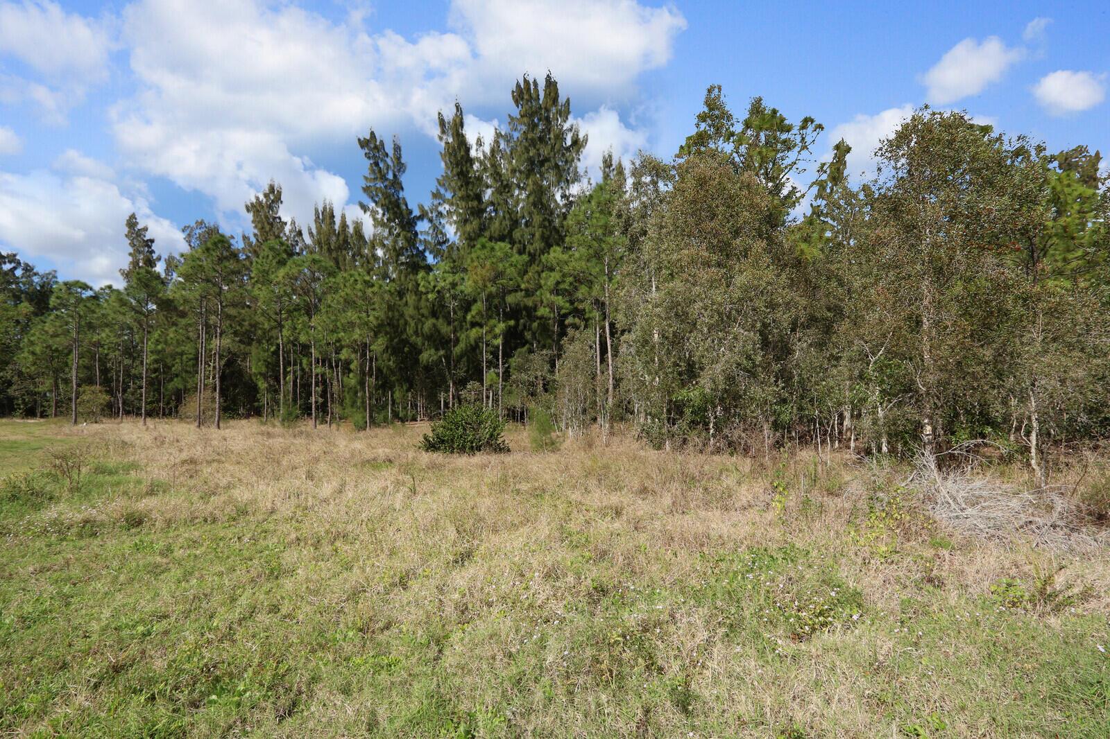 Jupiter Farms - Land