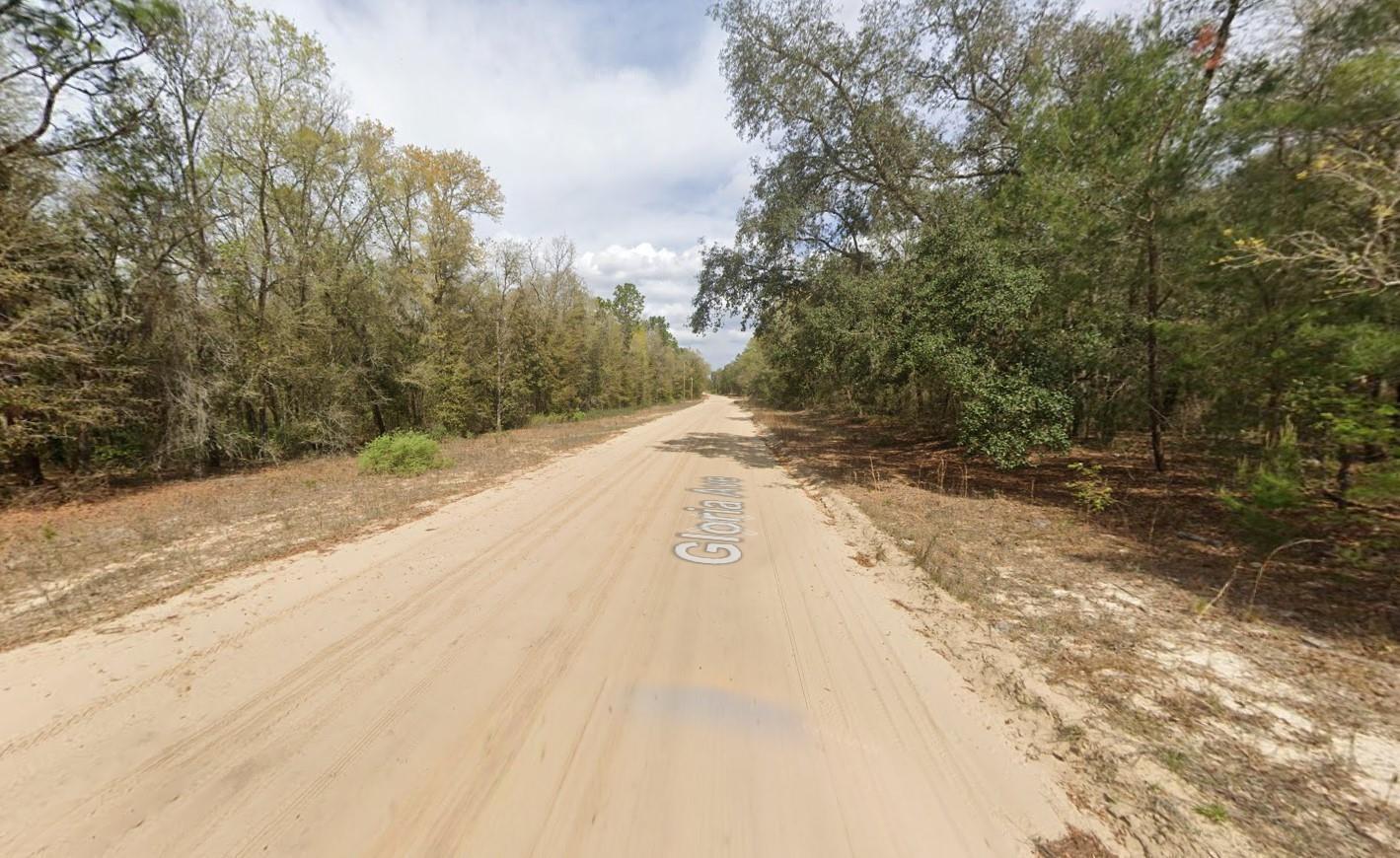OWNER FINANCING CONSIDERED! Discover your opportunity to own a piece of beautiful Interlachen Lakes Estates! This vacant lot offers the perfect setting for your future home or investment property. Nestled in a quiet, wooded area surrounded by natural Florida beauty, this parcel provides privacy while still being close to local amenities, shopping, and schools. With numerous lakes nearby, outdoor enthusiasts can enjoy boating, fishing, and kayaking just minutes away. Whether you're looking to build your dream home, place a mobile/manufactured home, or hold for the future, this affordable property is full of potential. Don't miss your chance to own land in this growing community! For directional purposes please use 428 Gloria Ave